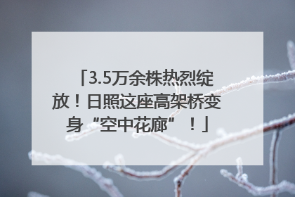 3.5万余株热烈绽放！日照这座高架桥变身“空中花廊”！