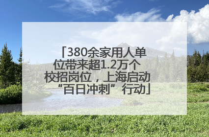 380余家用人单位带来超1.2万个校招岗位，上海启动“百日冲刺”行动