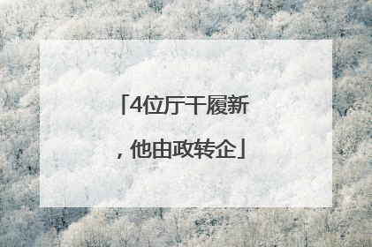 4位厅干履新，他由政转企
