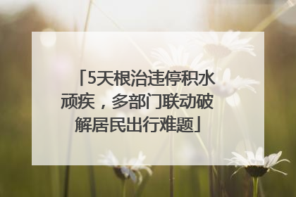 5天根治违停积水顽疾，多部门联动破解居民出行难题