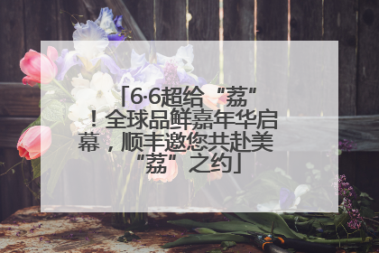 6·6超给“荔”！全球品鲜嘉年华启幕，顺丰邀您共赴美“荔”之约