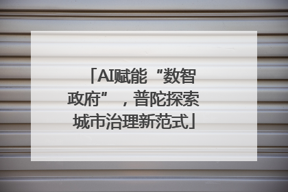 AI赋能“数智政府”，普陀探索城市治理新范式