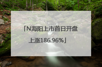 N海阳上市首日开盘上涨186.96%