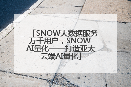 SNOW大数据服务万千用户，SNOW AI量化——打造亚太云端AI量化